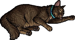 Hattie.kittypet.png