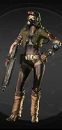 Ff waysider