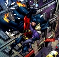 Red Robin 0025
