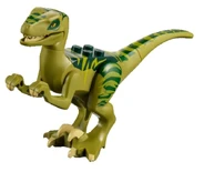 Raptor-2