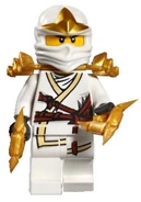 Zane ZX