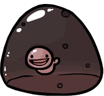 Blastocyst full