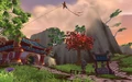Jade-forest-2.jpg