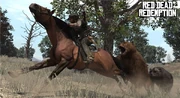 2bears