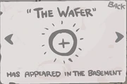 The wafer