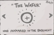The wafer