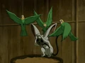 Sparrowkeet.png