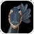 OiseauMini.png (4 KB) OiseauMini