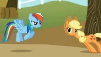 Applejack prove what S01E13
