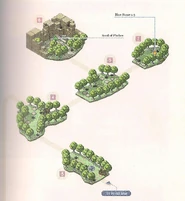 Viola Forest Map 2