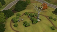 Appaloosapark
