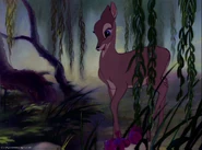 Adult Faline