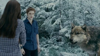 Seth-Wolf Edward Bella