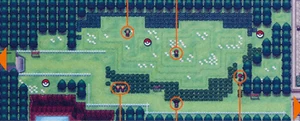 Unova Route 12