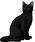 Crowfeather.warrior.png