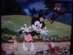 Dot with a rabbit, squirrel and 2 birds