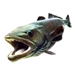 Item seabass 01.png