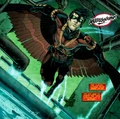 Red Robin 0034