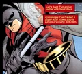 Red Robin 0035