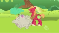 Big McIntosh about to get the toy S2E3
