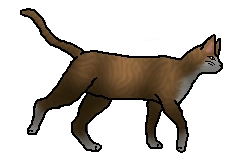 20120201034245!Leafpool.loner.png