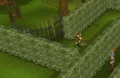 Tree Gnome Village.jpg