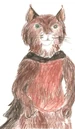 Thecapedwildcat.JPG