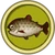 Taimén