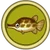 Pez Caimán