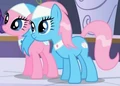 Spa ponies