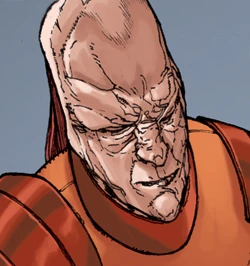 Am-Ris.jpg