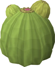 Cactus