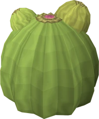 Cactus