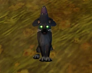 FelineFamiliar