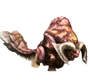 Dobosubspecies.png