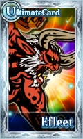 Efleet Card