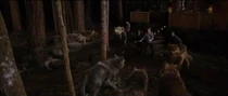 Sam attack
