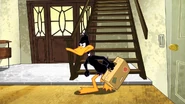 Working Duck (17)