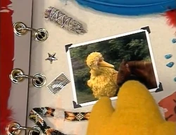 BBirdSings7