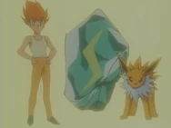 Eevee Brother Sparky