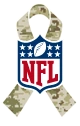 NFL Veterans