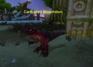 (Echo Isles) Corrupted Bloodtalon