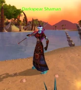 (Echo Isles) Darkspear Shaman