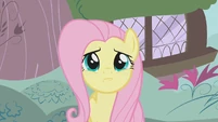 Fluttershy is not sure S1E7