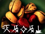 Kola nut proverb
