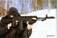 An 94 Crow