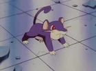 Rattata de Ash
