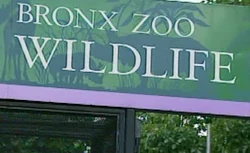 ZZoo