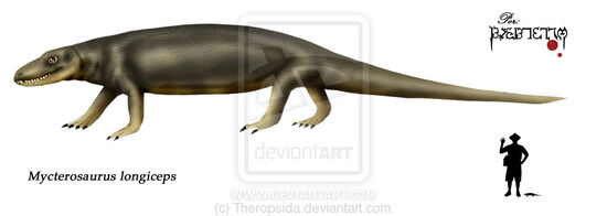Mycterosaurus longiceps by Theropsida