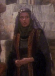 Nottingham courtier 2